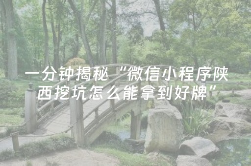 一分钟揭秘“微信小程序陕西挖坑怎么能拿到好牌”（做弊器软件下载)
