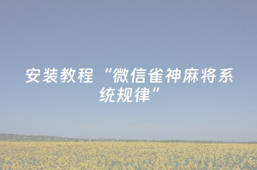 安装教程“微信雀神麻将系统规律”（外辅工具)