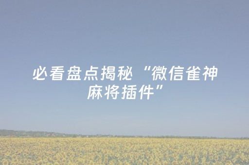 必看盘点揭秘“微信雀神麻将插件”（有没有猫腻)
