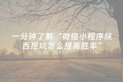 一分钟了解“微信小程序陕西挖坑怎么提高胜率”（会员会提高胜率吗)