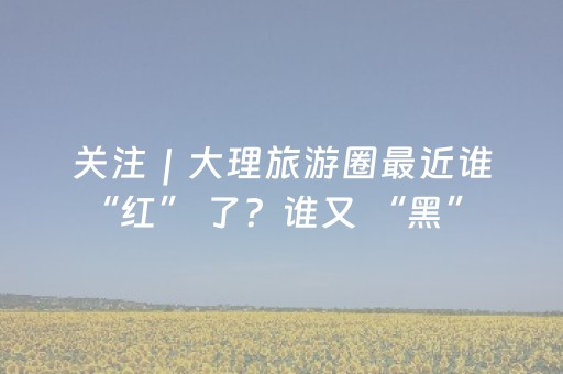 必看盘点揭秘“微信麻将作假视频”（辅助神器免费)