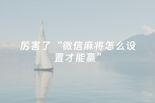 厉害了“微信麻将怎么设置才能赢”（透明挂辅助器)