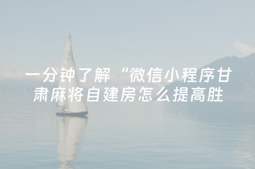 一分钟了解“微信小程序甘肃麻将自建房怎么提高胜率”（控牌神器)