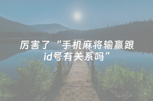玩家必备教程“微信小程序家乡麻将助赢神器”（外辅工具)
