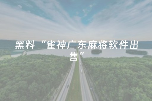黑料“雀神广东麻将软件出售”（透明挂辅助器)