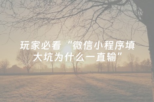 玩家必看“微信小程序填大坑为什么一直输”（怎么提高胜率)