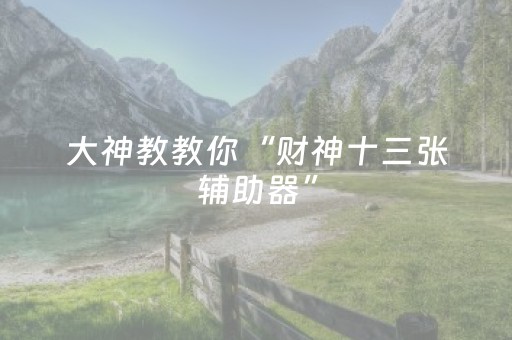 大神教教你“财神十三张辅助器”（控牌神器)