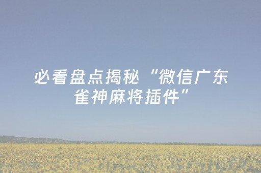 必看盘点揭秘“微信广东雀神麻将插件”（发牌有什么规律吗)