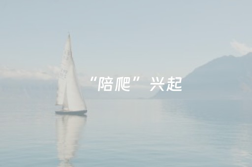 3分钟讲解“微信小程序掼蛋记牌器”（插件可信吗)