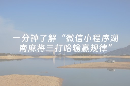 一分钟了解“微信小程序湖南麻将三打哈输赢规律”（AI辅助胡牌规则)