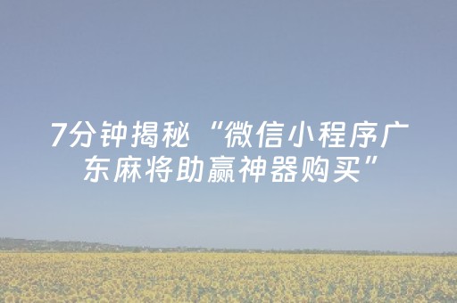 7分钟揭秘“微信小程序广东麻将助赢神器购买”（装挂怎么安装)