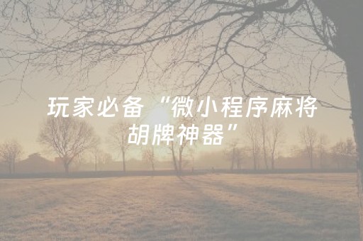 玩家必备“微小程序麻将胡牌神器”（有什么规律)