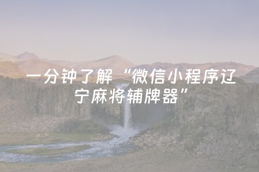 一分钟了解“微信小程序辽宁麻将辅牌器”（控牌器)