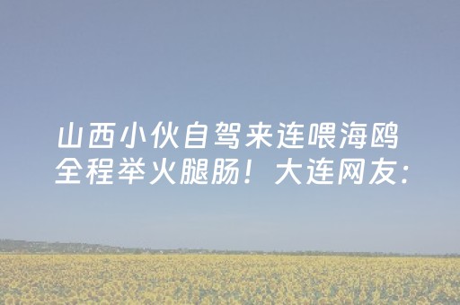 我来教大家“微信小程序内蒙麻将助赢神器”（是否能开挂)