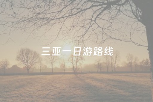 三亚一日游路线（三亚一日旅游攻略必去景点）