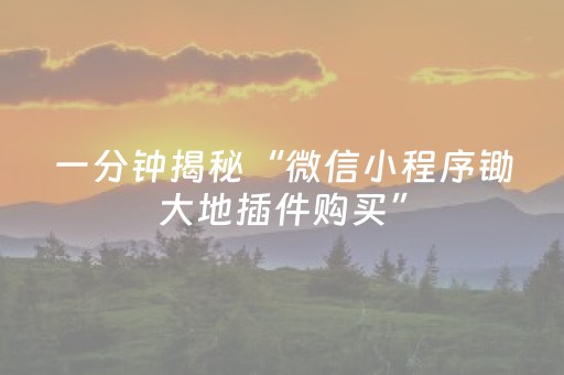 一分钟揭秘“微信小程序锄大地插件购买”（必赢神器辅助器)
