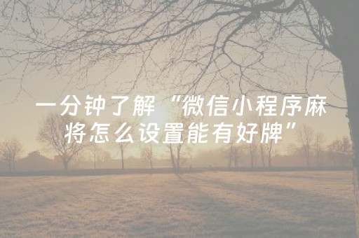 一分钟了解“微信小程序麻将怎么设置能有好牌”（插件开挂免费AI)