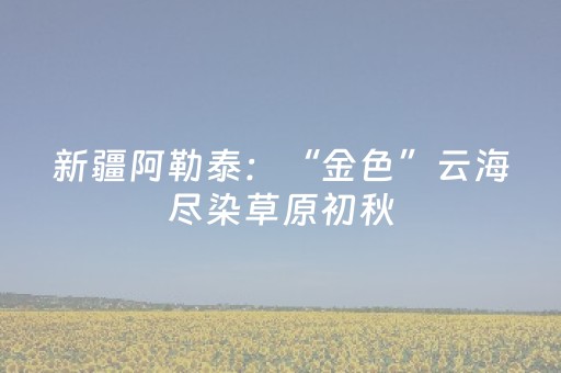 玩家必备“广东雀神麻将插件可信吗”（开挂神器下载)