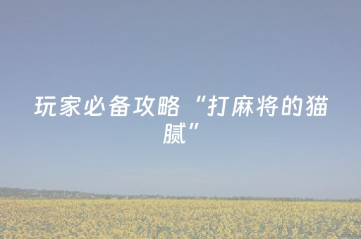玩家必备攻略“打麻将的猫腻”（怎么能得到好牌)