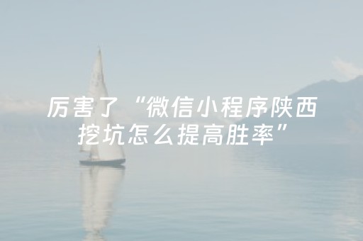 厉害了“微信小程序陕西挖坑怎么提高胜率”（插件可信吗)