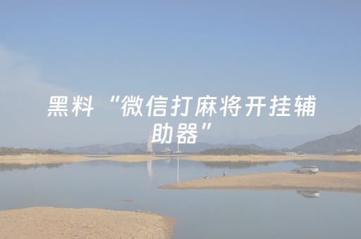 黑料“微信打麻将开挂辅助器”（辅助器下载)