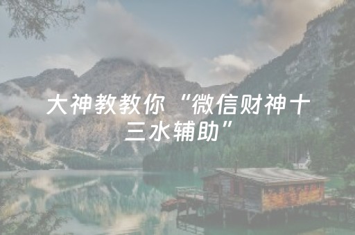 大神教教你“微信财神十三水辅助”（万能开挂神器)