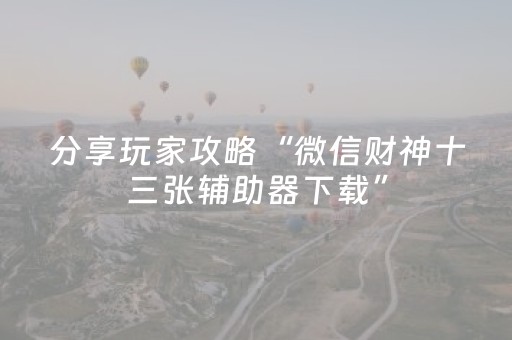 分享玩家攻略“微信财神十三张辅助器下载”（辅助器插件)