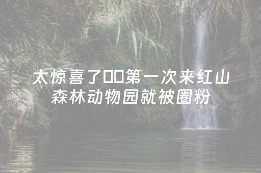 给大家科普一下“微信小程序填大坑一直输”（辅助神器免费)