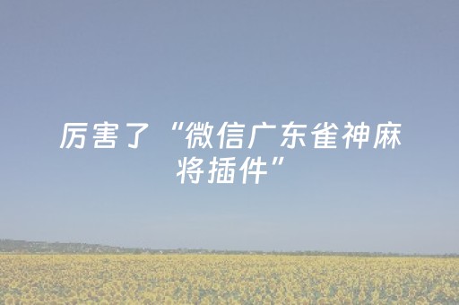厉害了“微信广东雀神麻将插件”（万能开挂器)
