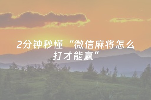 2分钟秒懂“微信麻将怎么打才能赢”（免费辅助)