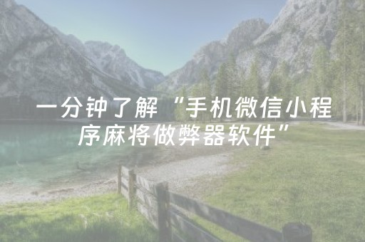 一分钟了解“手机微信小程序麻将做弊器软件”（软件出售)