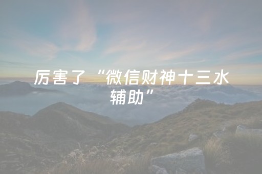 厉害了“微信财神十三水辅助”（AI辅助胡牌规则)