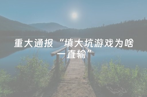 重大通报“填大坑游戏为啥一直输”（做弊器软件下载)