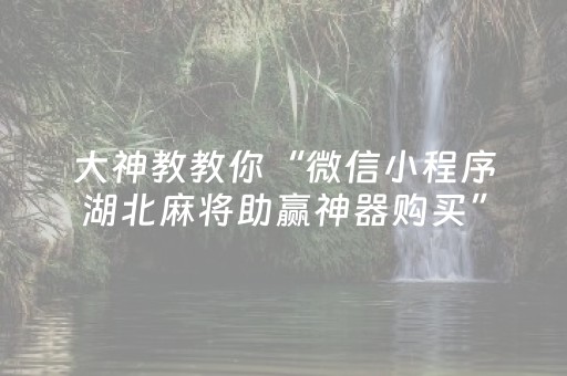 大神教教你“微信小程序湖北麻将助赢神器购买”（必赢神器)