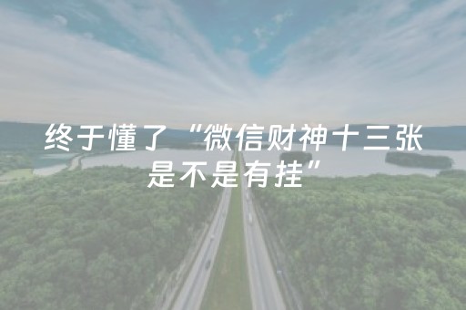 终于懂了“微信财神十三张是不是有挂”（控牌神器)