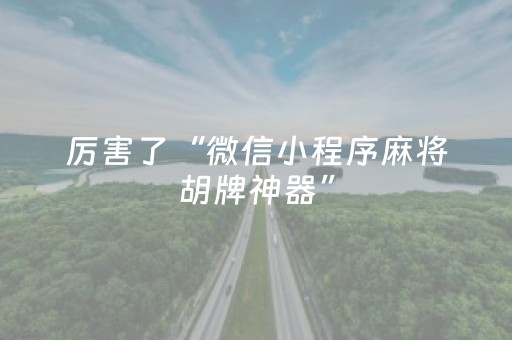 厉害了“微信小程序麻将胡牌神器”（辅助器下载)