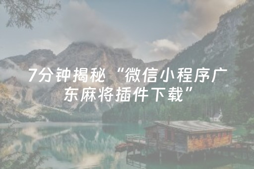 7分钟揭秘“微信小程序广东麻将插件下载”（装挂怎么安装)