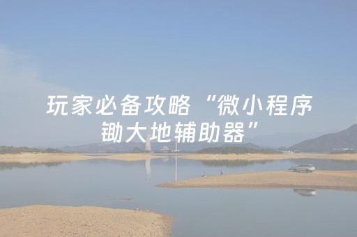 玩家必备攻略“微小程序锄大地辅助器”（怎么调胜率)
