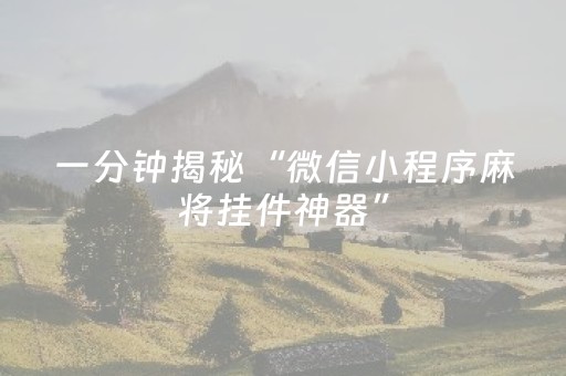 一分钟揭秘“微信小程序麻将挂件神器”（通用挂软件多少钱)