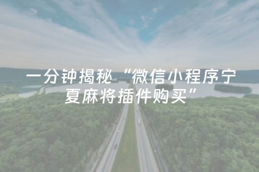 一分钟揭秘“微信小程序宁夏麻将插件购买”（提高胜率软件)