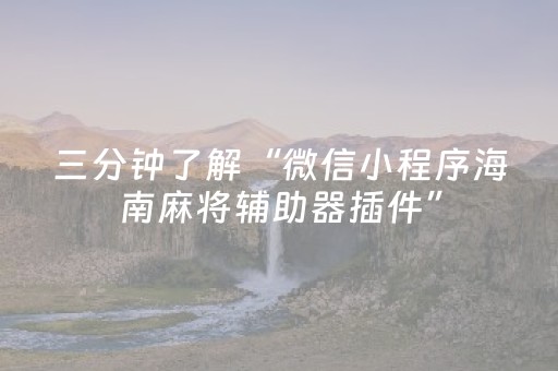 三分钟了解“微信小程序海南麻将辅助器插件”（有什么诀窍)