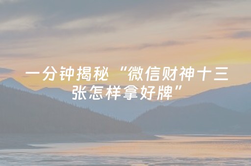 一分钟揭秘“微信财神十三张怎样拿好牌”（透明挂辅助器)