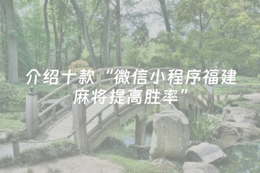 介绍十款“微信小程序福建麻将提高胜率”（辅助器通用版)