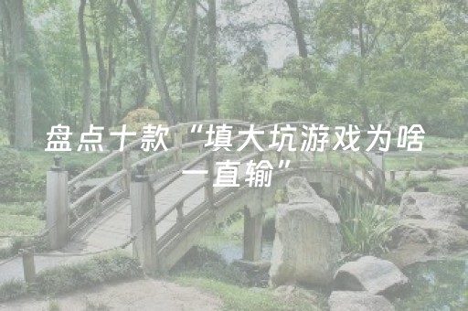 盘点十款“填大坑游戏为啥一直输”（助攻神器)