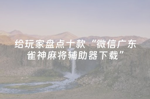 给玩家盘点十款“微信广东雀神麻将辅助器下载”（开挂辅助插件)
