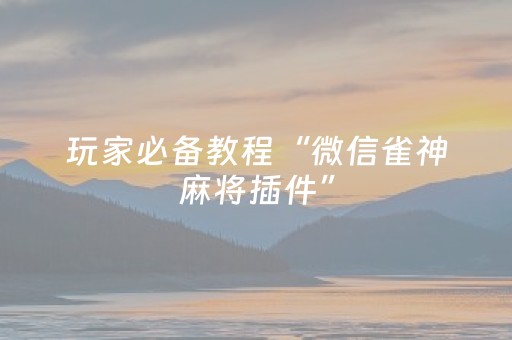 玩家必备教程“微信雀神麻将插件”（辅助软件)
