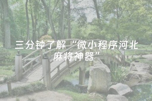 三分钟了解“微小程序河北麻将神器”（怎么能让牌好一点)