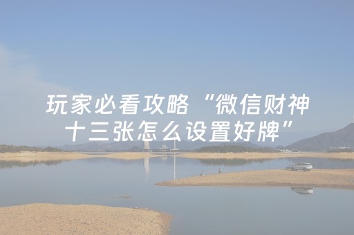 玩家必看攻略“微信财神十三张怎么设置好牌”（助赢神器购买)