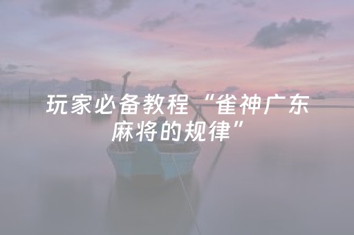 玩家必备教程“雀神广东麻将的规律”（辅助挂发牌规律)