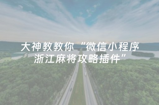 大神教教你“微信小程序浙江麻将攻略插件”（辅助软件)